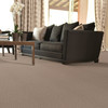 Tarkett Sedona R3025 Residential Carpet Room Scene