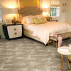 Stanton Royal Pavilion Sutton Polypropylene Fiber Residential Carpet Room Scene
