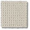 Shaw Anderson Tuftex Yin Collection Purrfection ZZ097 Residential Carpet