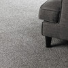 Dreamweaver Astounding II 2545 Residential Carpet Room Scene