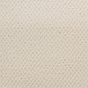 Fabrica Power Point 602PP StainMaster Residential Carpet