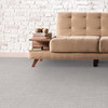 Dixie Home Conqueror Residential Carpet Room Scene
