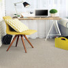 Dixie Home Smash Hit D008 Residential Carpet Room Scene