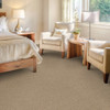 Dixie Home Spectrum D030 Residential Carpet Room Scene
