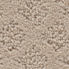 Mohawk SmartStrand Classic Style 3A46 Residential Carpet