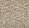 Stanton Antrim Buddha Wool Fiber Residential Carpet