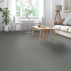 Tarkett Astoria R3056 Residential Carpet Room Scene