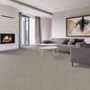 Tarkett Pinnacle R0038 Residential Carpet Room Scene