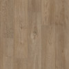Shaw Floorte Pro Fresh Take 9" Vinyl Plank