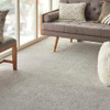 Nourtex Rustic Textures Rustic Velvet RUS25 Residential Carpet Room Scene