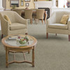 Kaleen Cooper Island Natural 13'2" CIN13 Residential Carpet Room Scene