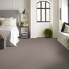 Shaw Pet Perfect Influencer 5E443 Residential Carpet Room Scene