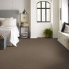 Shaw Pet Perfect Yes You Can III 12' 5E570 Residential Carpet Room Scene