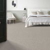 Anderson Tuftex Pet Perfect Plus Sneak Peek 12' ZZ260 Residential Carpet Room Scene