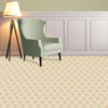 Kane Bel Canto Residential Carpet Room Scene