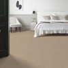 Anderson Tuftex Reawaken Town Square ZZ263 Residential Carpet Room Scene