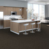 Shaw Philadelphia Forma 54948 Commercial Carpet Tile Room Scene