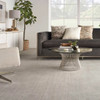 Nourison Danbury Texture DBTXT Residential Carpet Room Scene