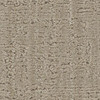 Shaw Shady Stroll Pet Perfect 5E689 Residential Carpet