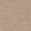 Mohawk SmartStrand Quality Life 3J97 Residential Carpet