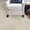 Stanton Atelier Renew Evolve Residential Carpet Room Scene