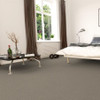 Revolution Mills Momentum II Residential Carpet Room Scene