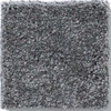 Shaw That's Right E0812 Residential Carpet Swatch