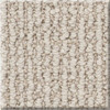 Shaw Simply The Best Iconic Way 5E450 Residential Carpet Swatch