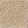 Shaw Hidden Wonders 52X80 Residential Carpet Swatch