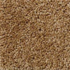 Shaw Origins E0523 Residential Carpet Swatch