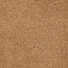 Shaw Magic At Last I 15' E0234 Residential Carpet