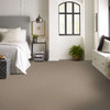 Shaw Sprinter E0577 Residential Carpet Room Scene