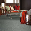 Shaw Color Flair E0852 Residential Carpet Room Scene