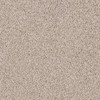 Shaw Weatherford EA009 Residential Carpet
