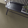 Shaw Attainable E9965 Residential Carpet  Room Scene