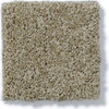 Shaw Enduring Comfort I E0341 Residential Carpet Swatch