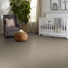 Shaw Enduring Comfort I E0341 Residential Carpet Room Scene