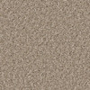 Shaw Shake It Up (S) E9699 Residential Carpet Breeze