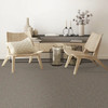 Phenix Milo FP012 FloorEver PetPlus Residential Carpet Fresco Room Scene