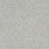 Dreamweaver Captivating II 1030 Residential Carpet