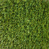 Georgia Carpet Pro Series Pro Turf II 65 Landscaping Turf