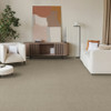 Dreamweaver Prime 2125 Residential Carpet Room Scene
