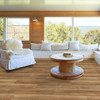 Shaw Floorte Dockside SPC 3059V Luxury Vinyl Plank