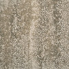 Stanton Clarity Amur 14'9" Polyester Residential Carpet