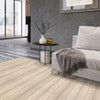 Stanton Antrim Fine Weave Orzola Wool Residential Carpet Room Scene