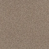 Shaw Pet Perfect Yes You Can II 15' 5E572 Residential Carpet