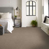 Shaw Pet Perfect Yes You Can II 15' 5E572 Residential Carpet Room Scene