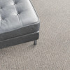 Stanton Hibernia Freehold Residential Carpet- Blue Dusk Room Scene