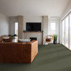 Anderson Tuftex Modern Artisan ZZ370 Residential Carpet Room Scene