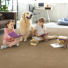 Stanton Pet Guard Trent Residential Carpet-Mushroom Room Scene